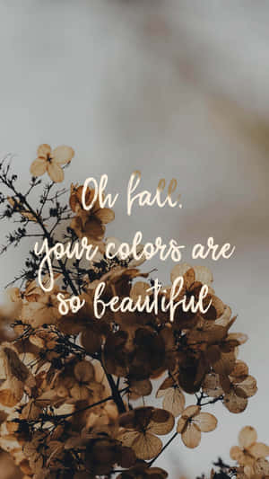 Зображення Естетичного Коричневого — Світло-коричнева естетика Шпалери