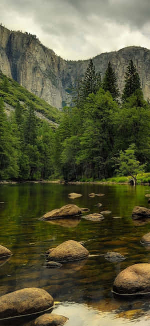 Красивая природа — POCO M8 Шпалери