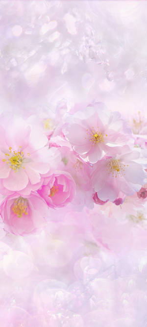 Beautiful Spring — Tecno Pova 7 Шпалери