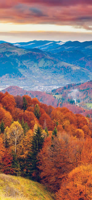 фон Fall Iphone — POCO M8 Шпалери