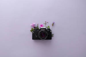 Лавандова естетика та камера Nikon