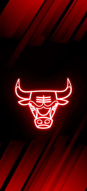 Chicago Bulls Phone — Honor Magic V5 Шпалери