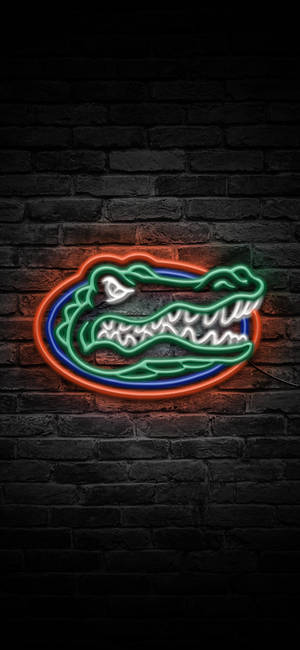 Обои с логотипом Florida Gators в неоновых огнях — iPhone 11 Pro Шпалери