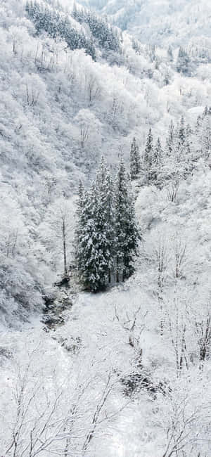 Snow iPhone — iPhone 18 Pro Шпалери