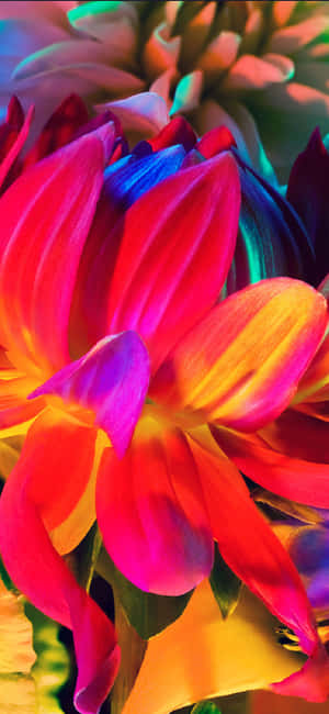 Rainbow Flower Iphone — Galaxy A55 Шпалери