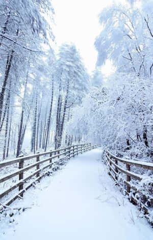 Snow Iphone — Galaxy Tab A9+ Шпалери