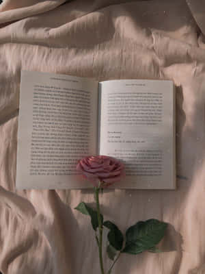 Книжкова естетика — iPad Air 13 Шпалери