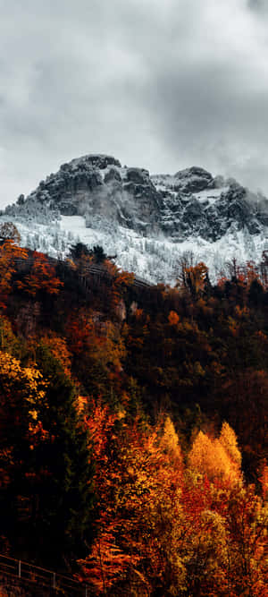 Fall Mountain — Moto E14 Шпалери