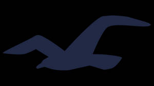 Обои с культовой тёмно-синей чайкой Hollister — Экономия заряда Шпалери