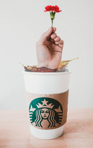 Рука Starbucks iPhone — Xiaomi Pad Mini Шпалери