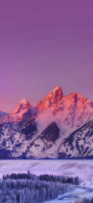 Потрясающая природная сцена для iPhone X — Infinix Zero 30 Шпалери