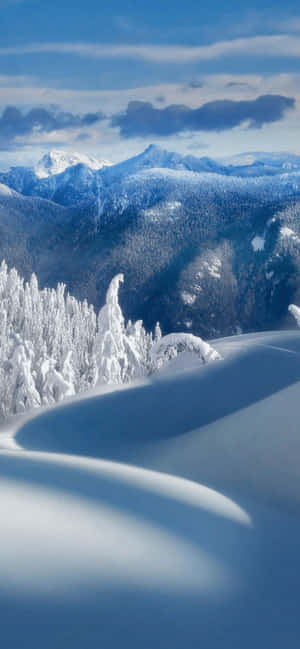 Iphone Xs Max Winter Background — Vivo V70 Elite Шпалери