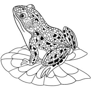 Картинки с рисунком лягушки — iPad Pro Шпалери