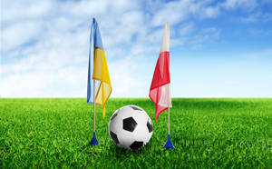 Футбол, Україна, Польща, прапори, зелене футбольне поле, фон для робочого столу.