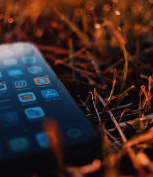 Iphone Xs на сухих листьях фон — iPhone Xs Шпалери