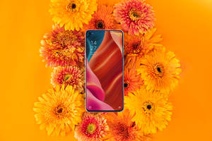 Смартфон Oppo і квітуча флора