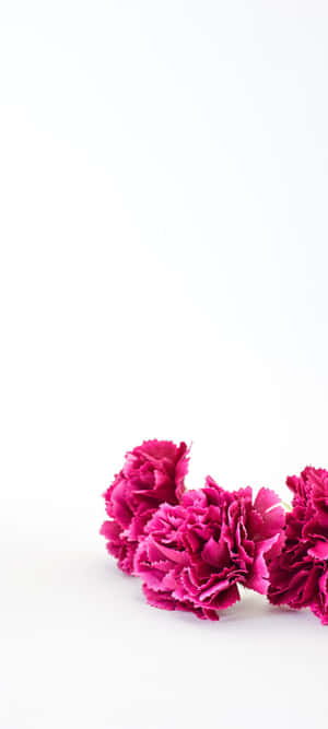 1080x2400 — Redmi Note 15 Шпалери