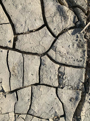 2048x2732