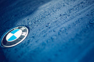 Шпалери крупним планом логотипа BMW на синьому автомобілі з краплями