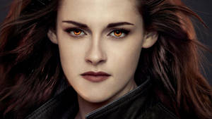 Сумерки. Сага. Белла Свон обои — Twilight Шпалери