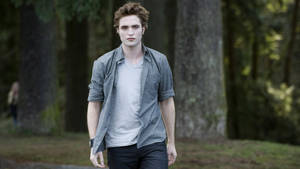 Сумерки. Сага. Эдвард в лесу обои — Twilight Шпалери