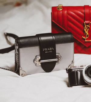 Сумки Prada и YSL — обои — Motorola Razr Fold Шпалери