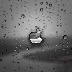 Темный милый iPad — Милый iPad Шпалери
