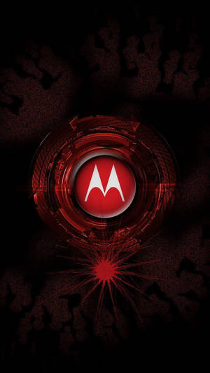 Темно-красный Motorola