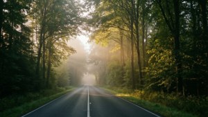 Дорога в туманний ліс на рассвіті в ультраширокому форматі.