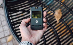 Черная раскладушка Motorola