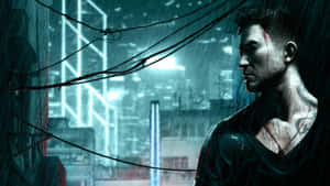 Фон Sleeping Dogs — Спящие собаки Шпалери