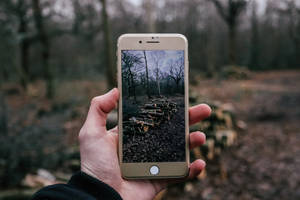 человек фотографирует дрова с помощью iPhone